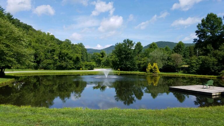 Otto Pond Events 768x432